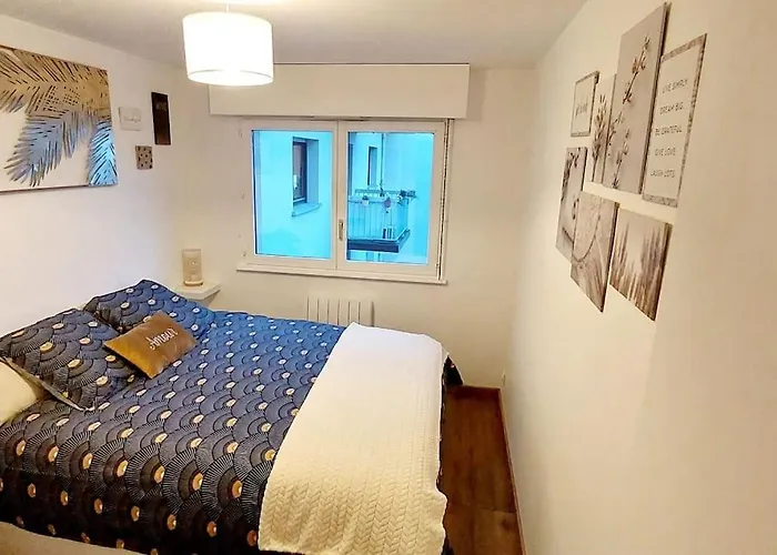 Appartement Cosy Strasbourg