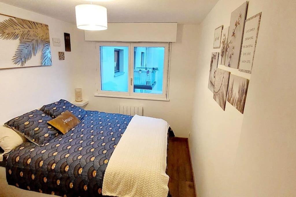 Appartement Cosy Strasbourg